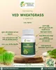 Picture of Ved Wheatgrass